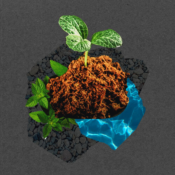 Planting for Life