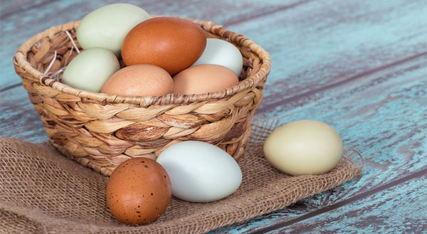 Hailed as a complete protein source, not all eggs are made equal